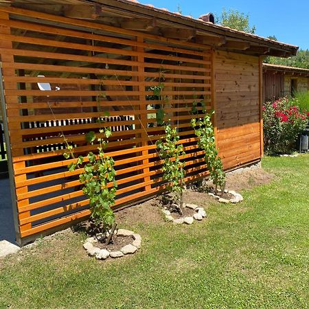 Apartmani D&S Mokra Gora Extérieur photo