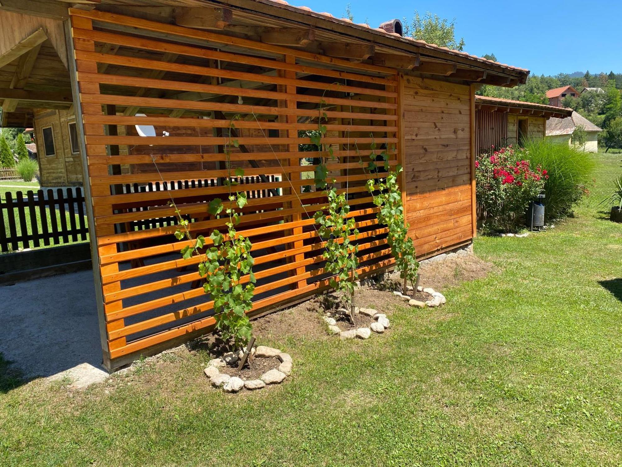 Apartmani D&S Mokra Gora Extérieur photo